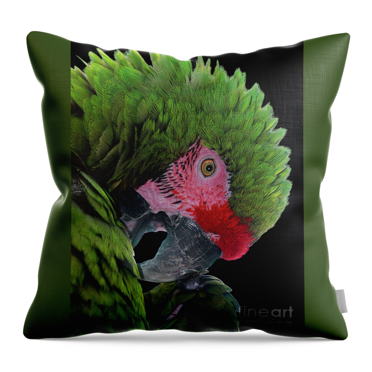 Parrots Throw Pillow featuring the photograph Pensive Parrot by Geoff Crego