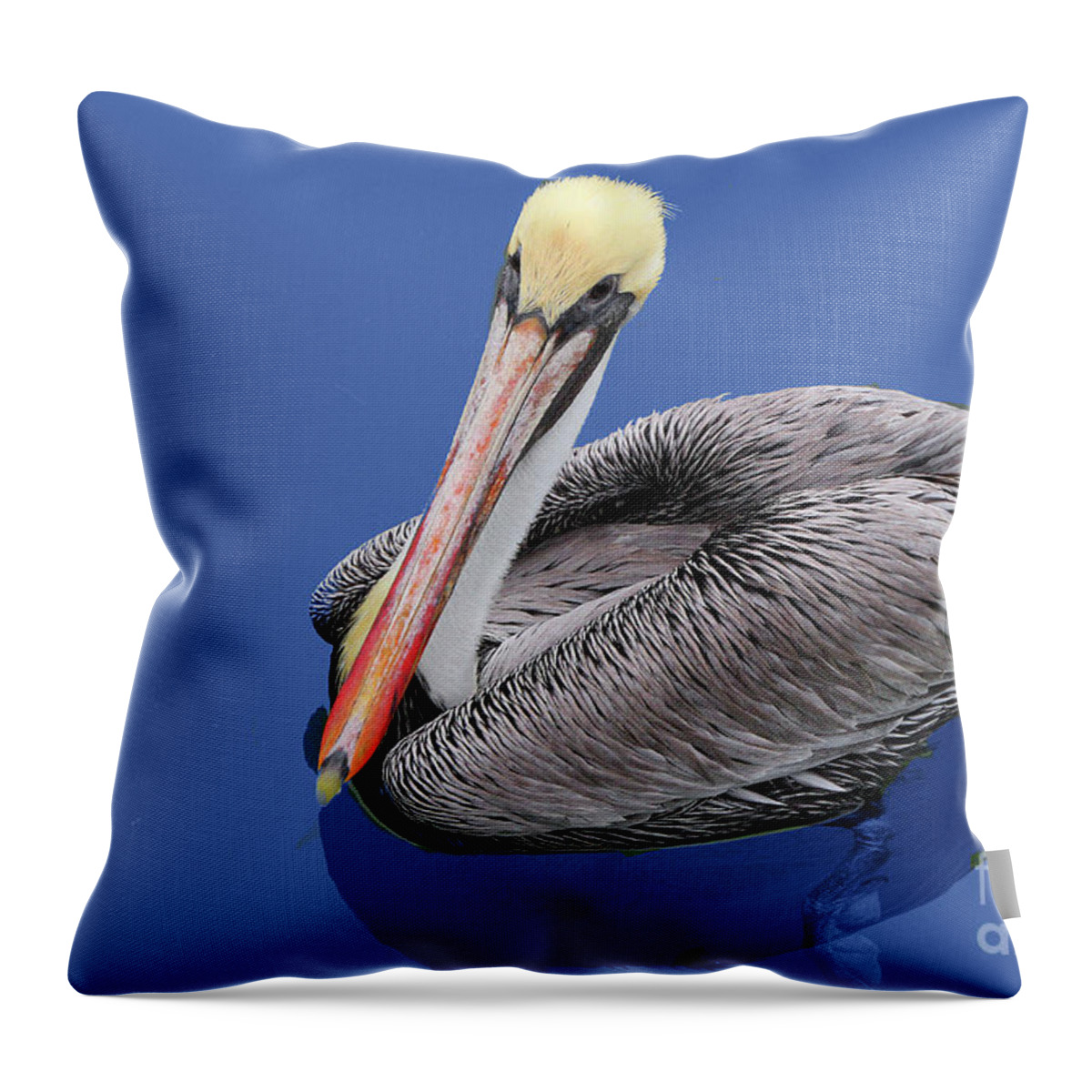Nature Throw Pillow featuring the photograph Pensive Pelican by Mariarosa Rockefeller