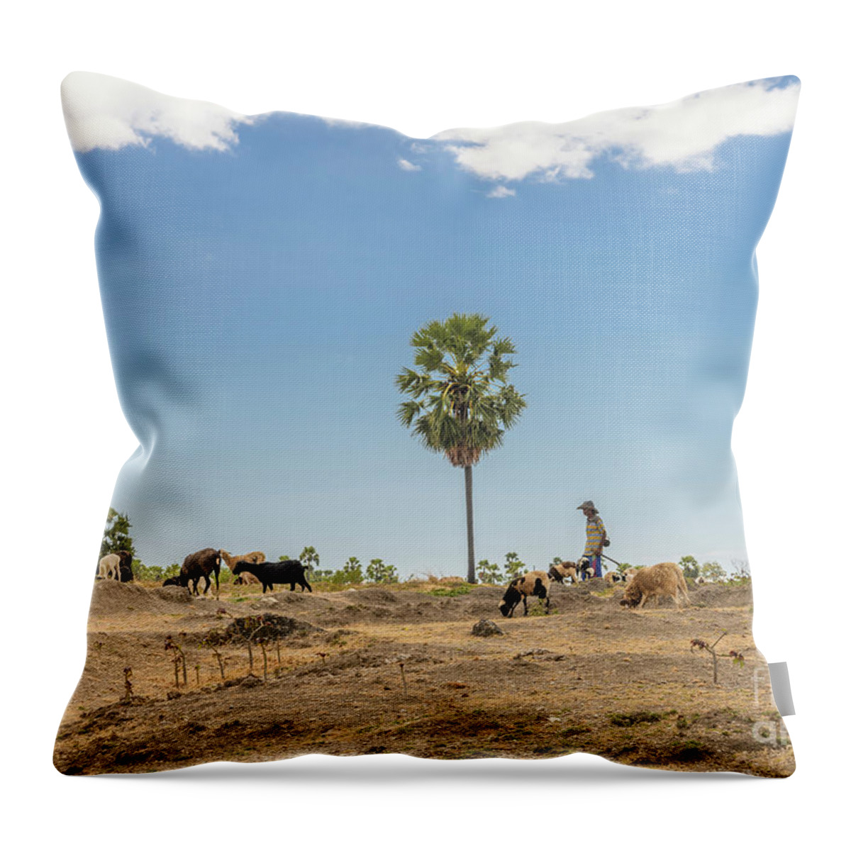 Asia Throw Pillow featuring the photograph People of Timor-Leste 16 by Werner Padarin