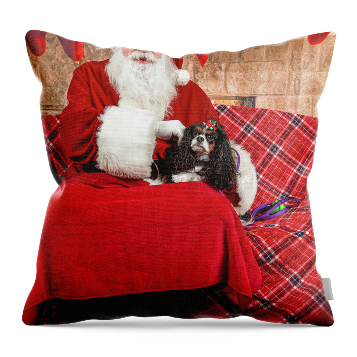 Peppermint Throw Pillow featuring the photograph Peppermint with Santa 1 by Christopher Holmes