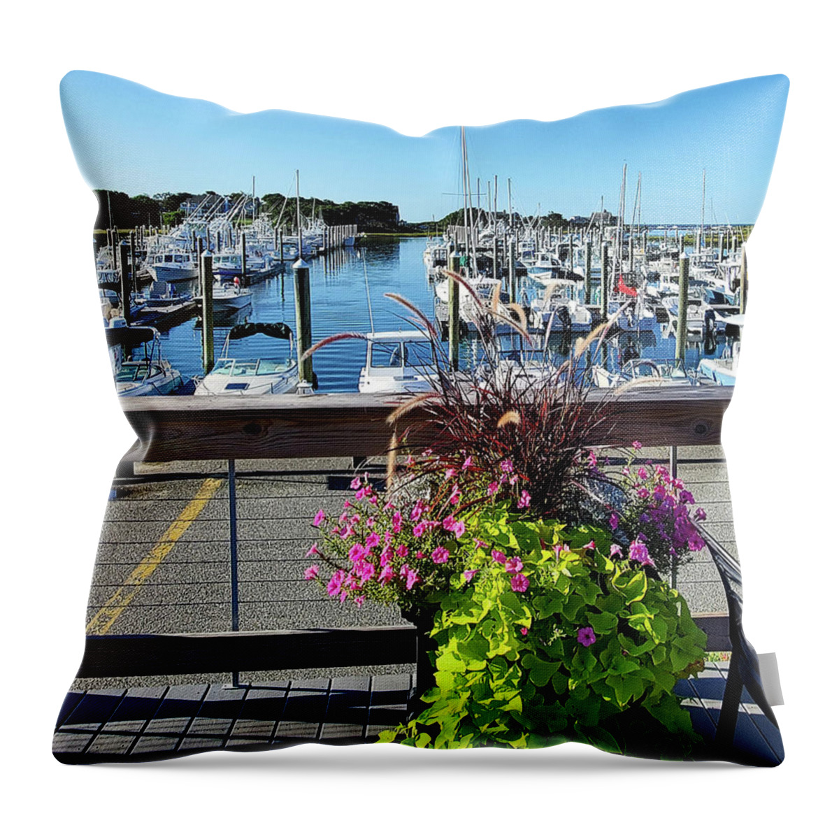Landscape Throw Pillow featuring the photograph Perfect Day for the Ferry by Sharon Williams Eng