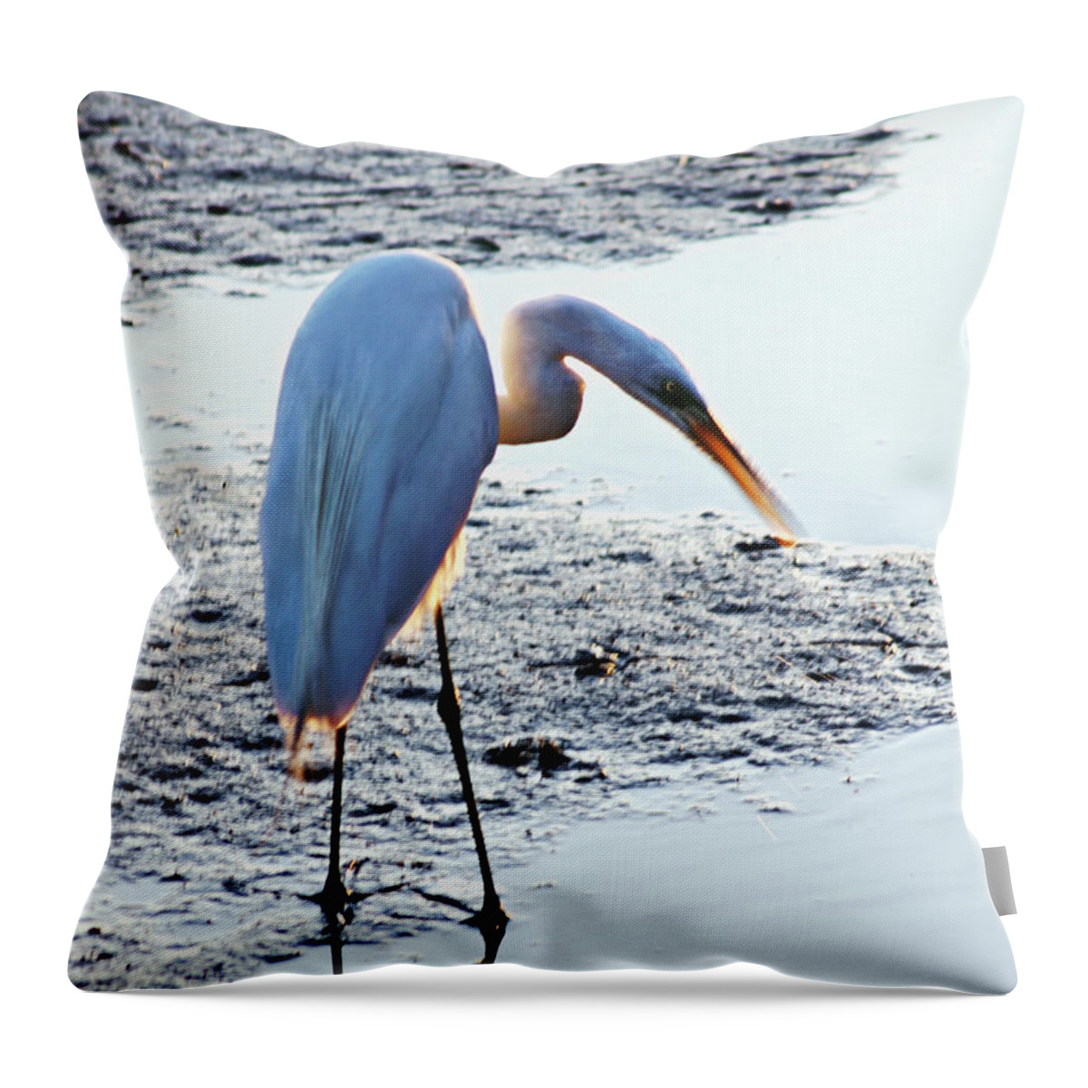 Great Egret Throw Pillow featuring the photograph Perfect Moment by Hilda Wagner