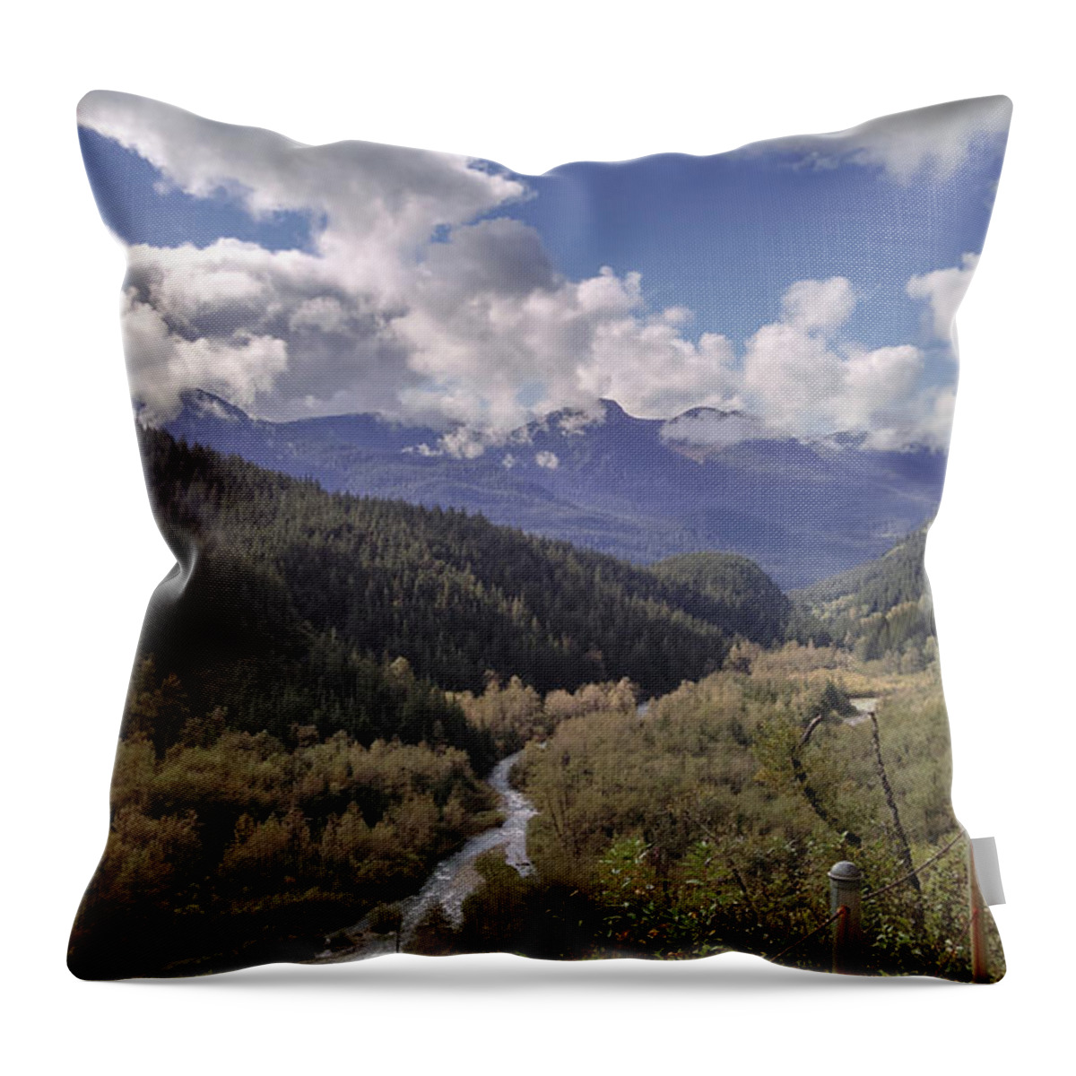 #alaska #juneau #ak #cruise #tours #vacation #peaceful #perseverance #clouds #cloudy #hiking Throw Pillow featuring the photograph Perseverence by Charles Vice