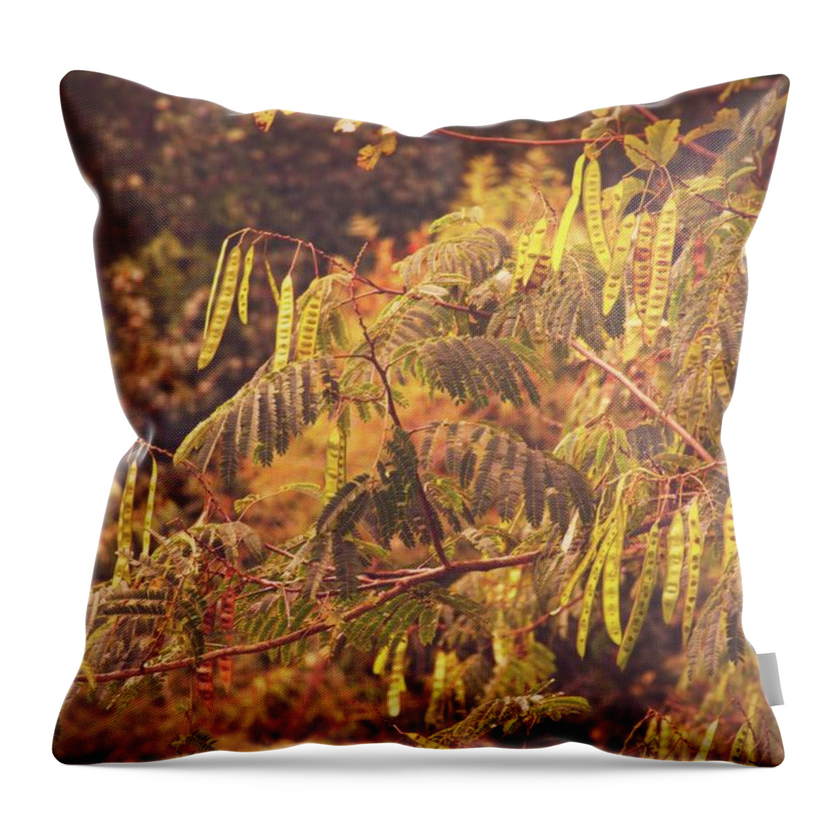 Persian Silk Tree Throw Pillow featuring the digital art Persian Silk Tree Vintage by Angie Tirado