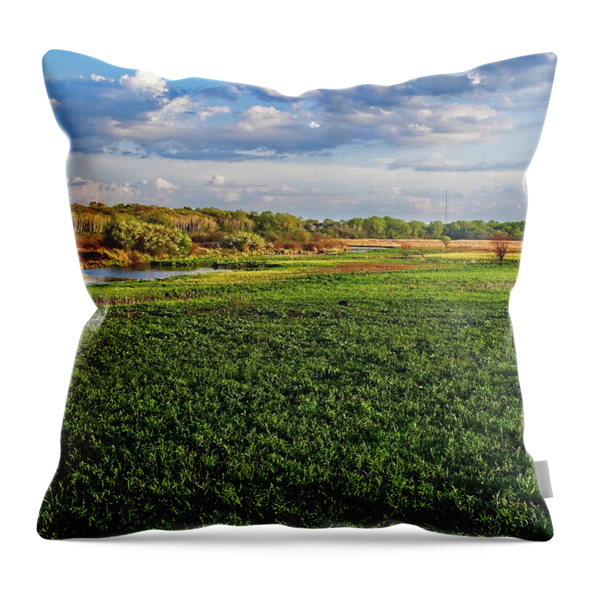 Middleton Throw Pillow featuring the photograph Pheasant Branch Conservancy 4, Middleton, WI by Steven Ralser