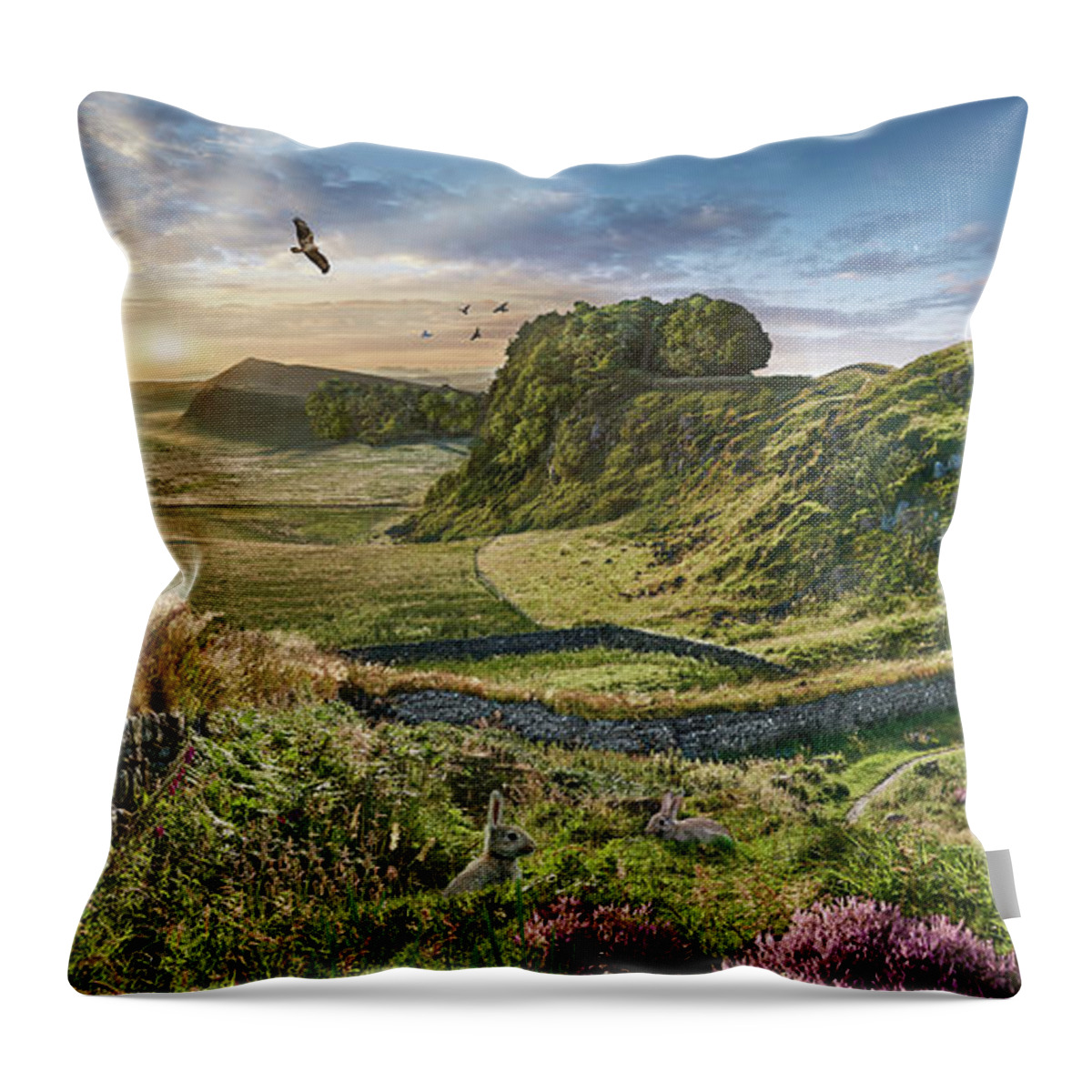 Hadrians Wall Throw Pillow featuring the photograph Photo of Hadrians Wall, Northumberland, England, UK by Paul E Williams
