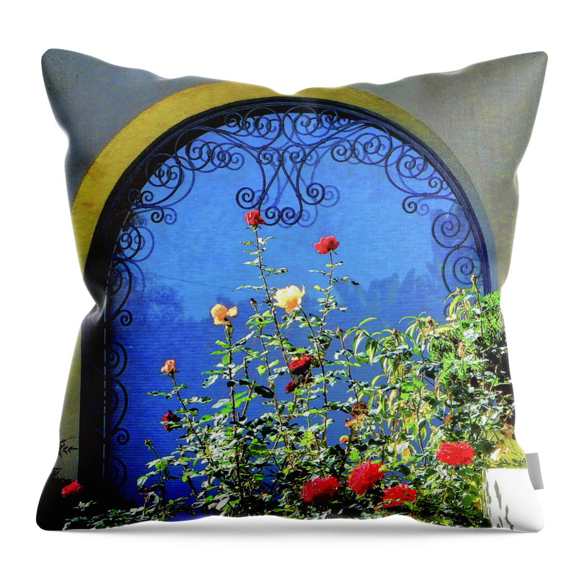 Window Throw Pillow featuring the photograph Picturesque Window by Andrew Lawrence