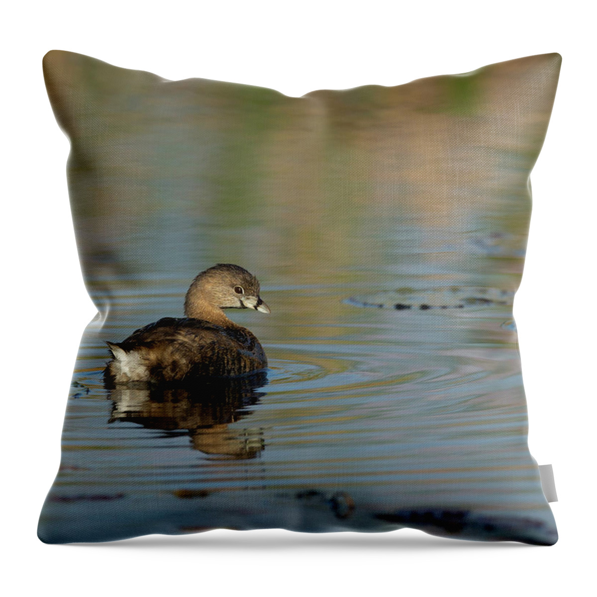 Florida Birds Throw Pillow featuring the photograph Pied-billed Grebe by Maresa Pryor-Luzier