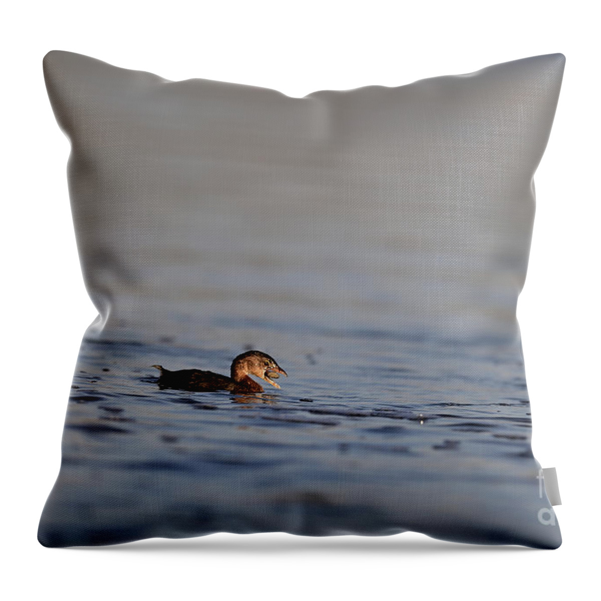 Pied-billed Grebe Throw Pillow featuring the photograph Pied-billed Grebe with a crab in the bill by Amazing Action Photo Video