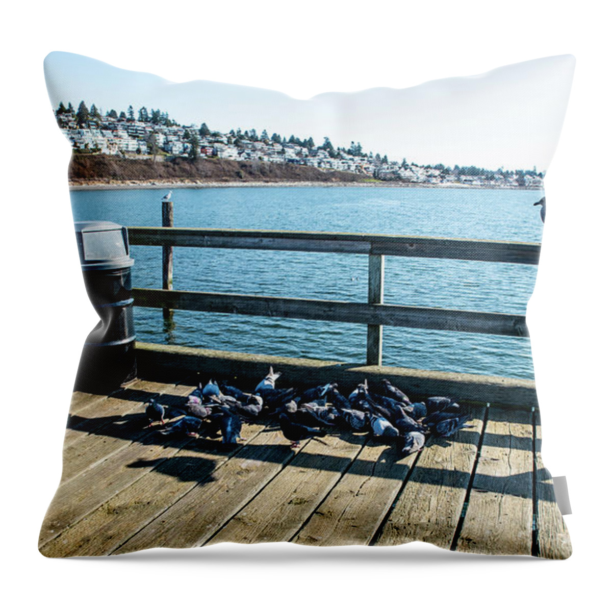 Pigeons And A Sea Gull Throw Pillow featuring the photograph Pigeons and a Sea Gull by Tom Cochran