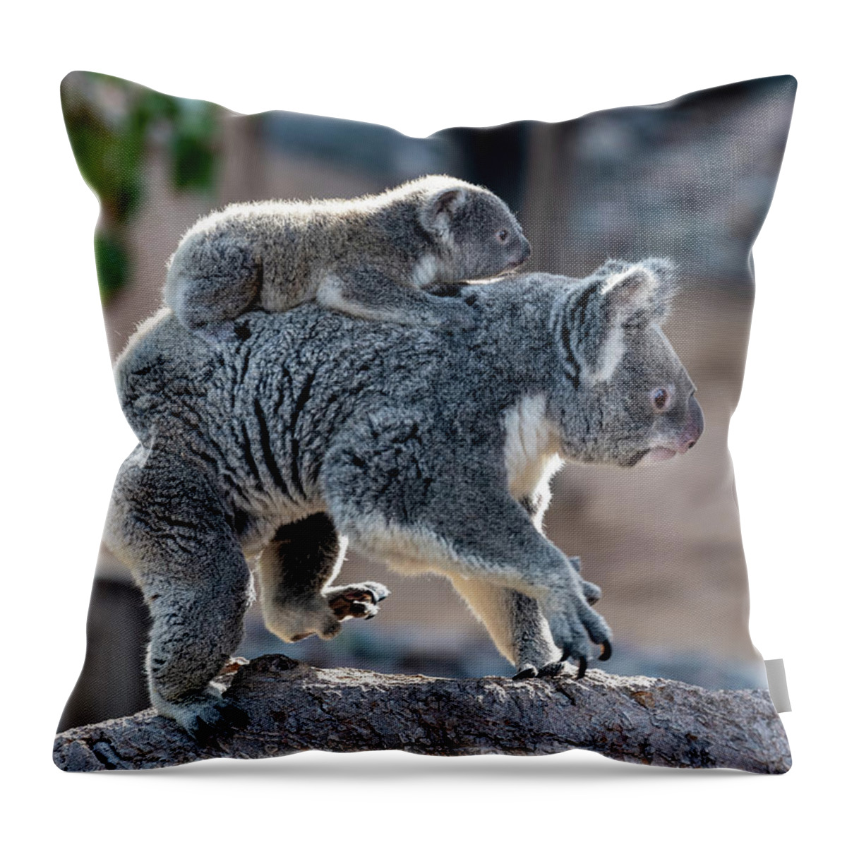 San Diego Zoo Throw Pillow featuring the photograph Piggy Back Rides by David Levin