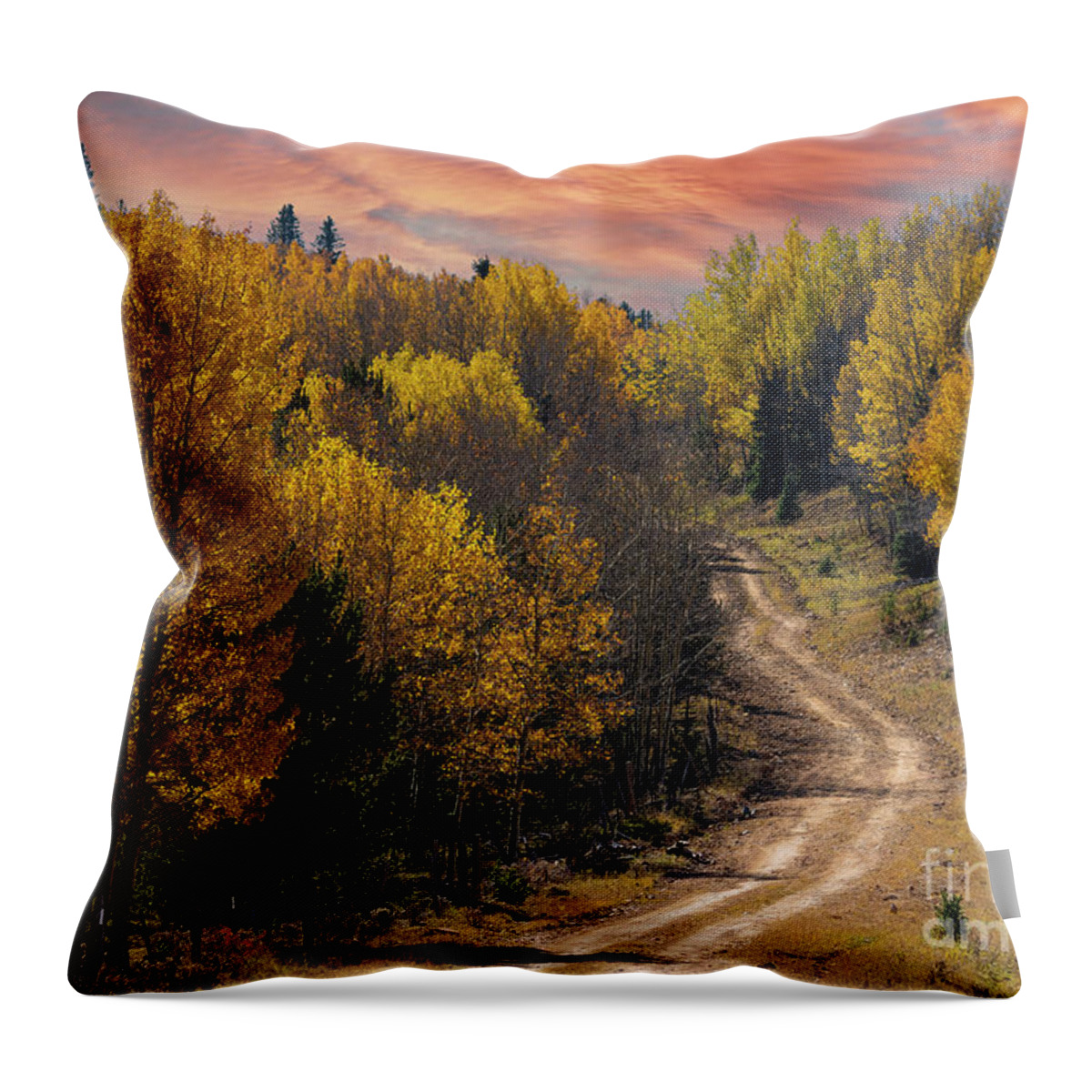 Autumn Throw Pillow featuring the photograph Pikes Peak Autumn Sunrise by Steven Krull