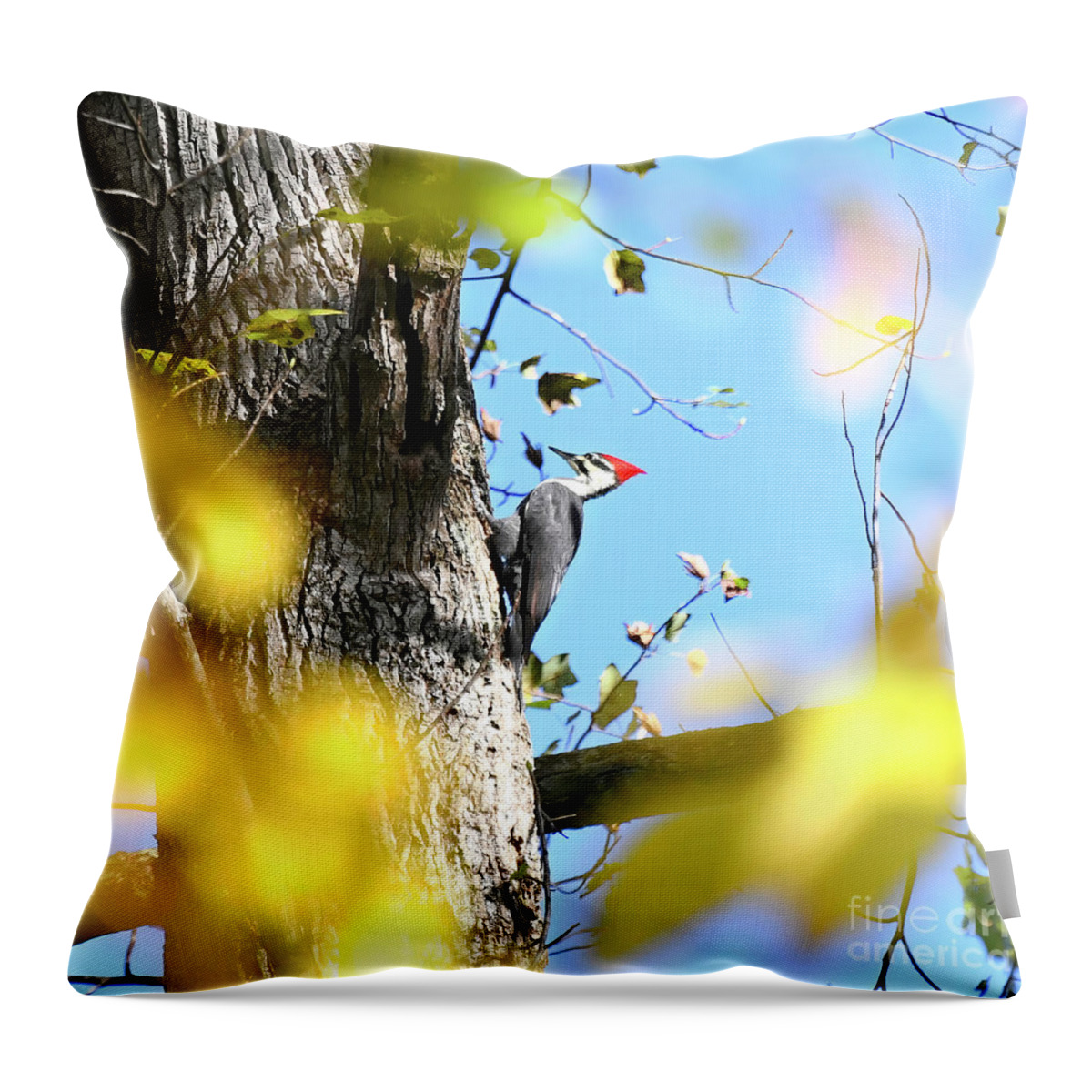 Pileated Woodpecker Throw Pillow featuring the photograph Pileated Woodpecker in Autumn by Kerri Farley