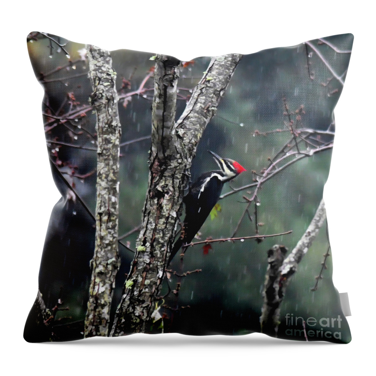 Pileated Woodpecker Throw Pillow featuring the photograph Pileated Woodpecker in the Rain by Kerri Farley