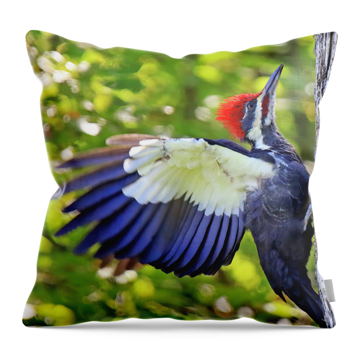 Pileated Woodpecker Throw Pillow featuring the photograph Pileated Woodpecker by Shixing Wen