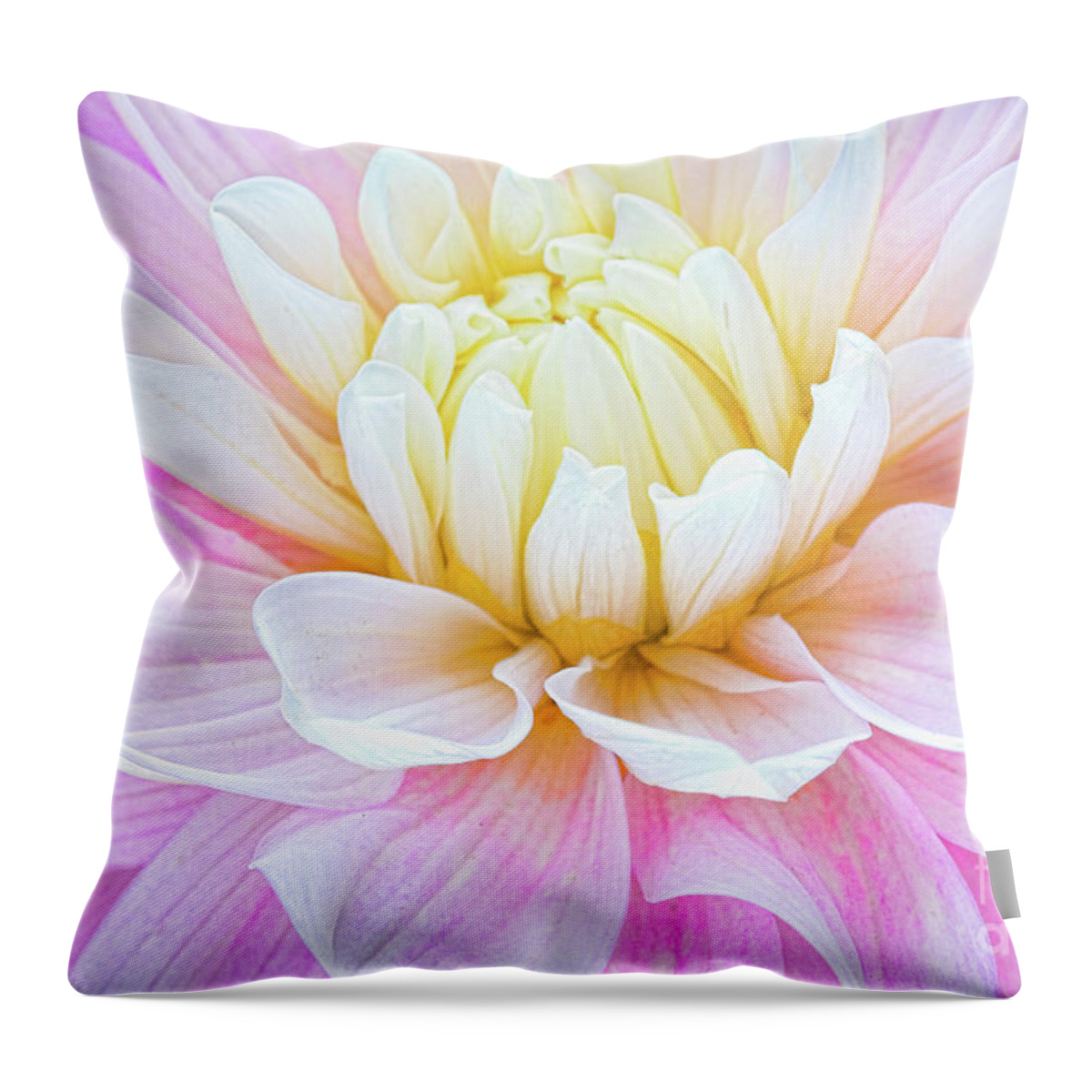 Dahlias Throw Pillow featuring the photograph Pillow Dreams by Marilyn Cornwell