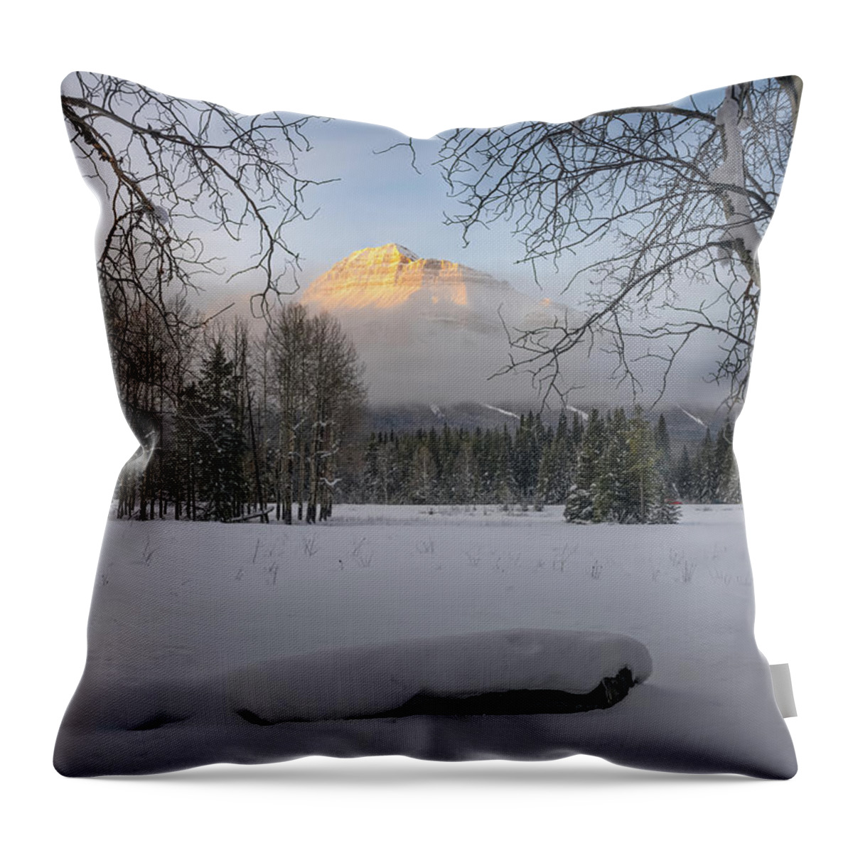 Forest Throw Pillow featuring the photograph Pilot Mountain by Steve Berkley