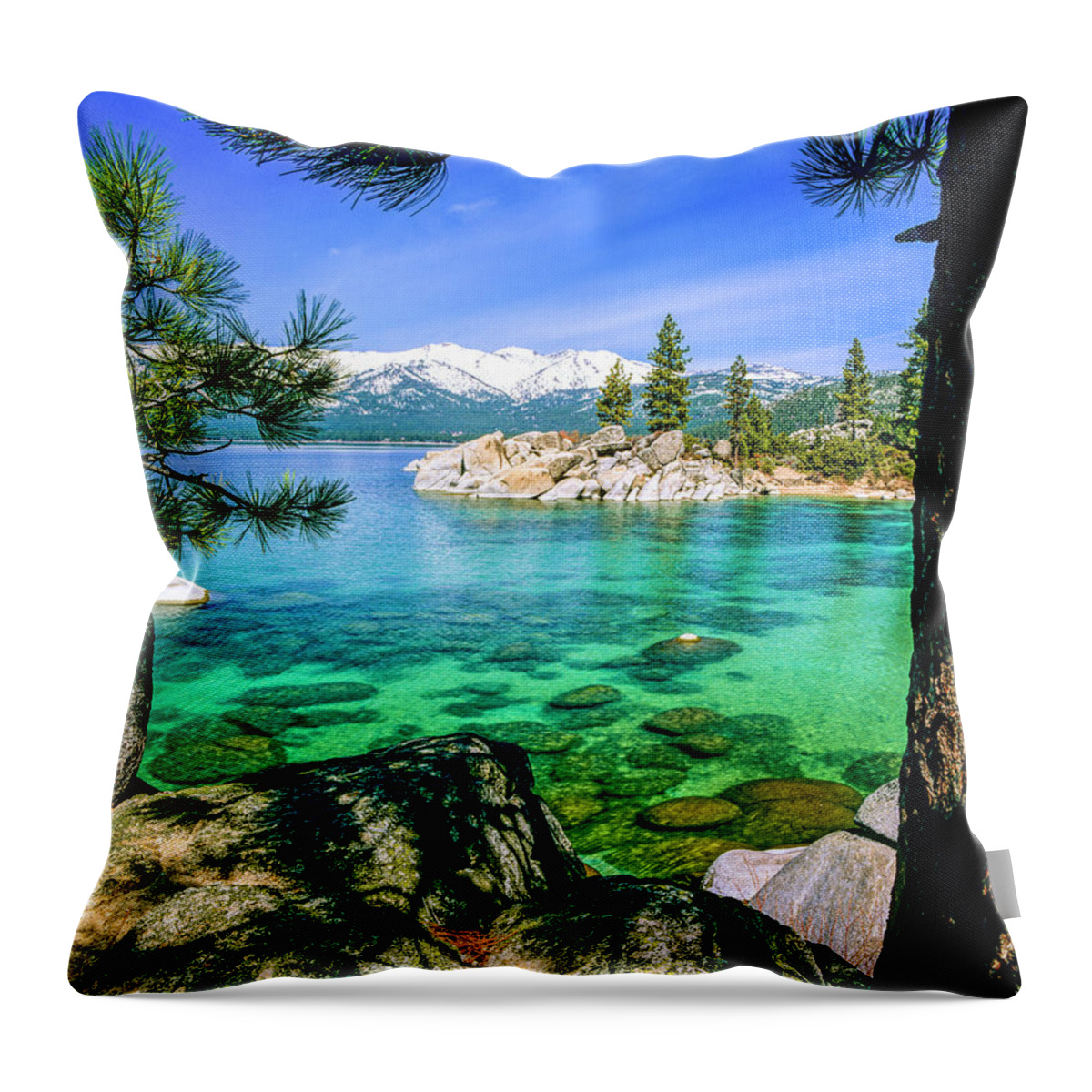 Lake Throw Pillow featuring the photograph Pine Branch Shadow by Randy Bradley