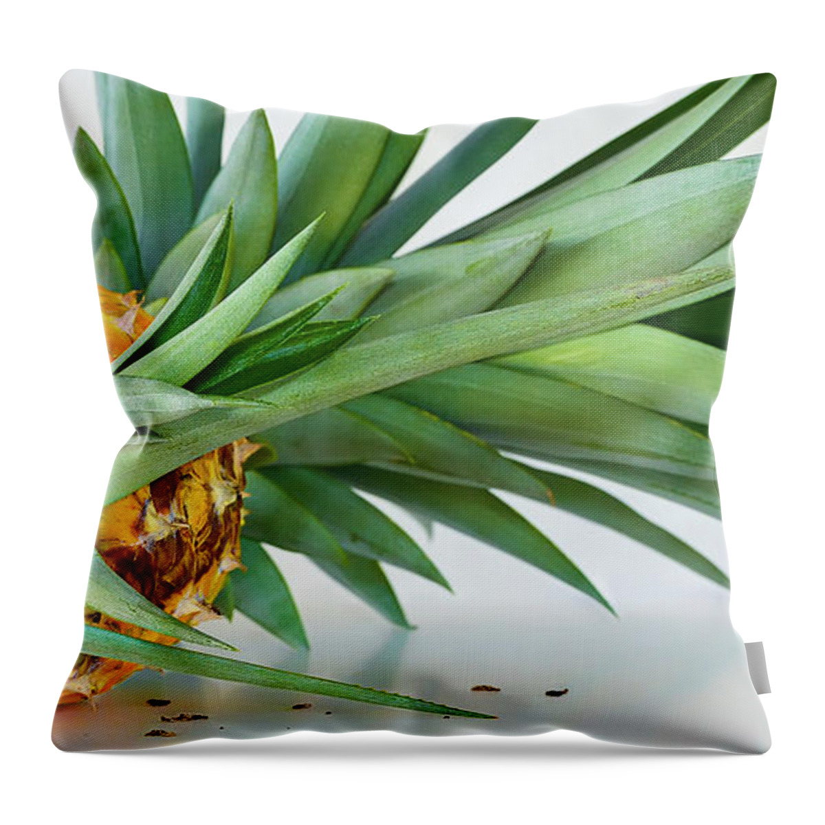 Pineapple Panorama Throw Pillow featuring the photograph Pineapple Panorama by Olga Hamilton