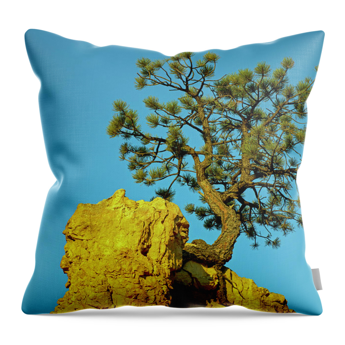 Pine Tree Throw Pillow featuring the photograph Pining on the Rocks by Bruce Gourley