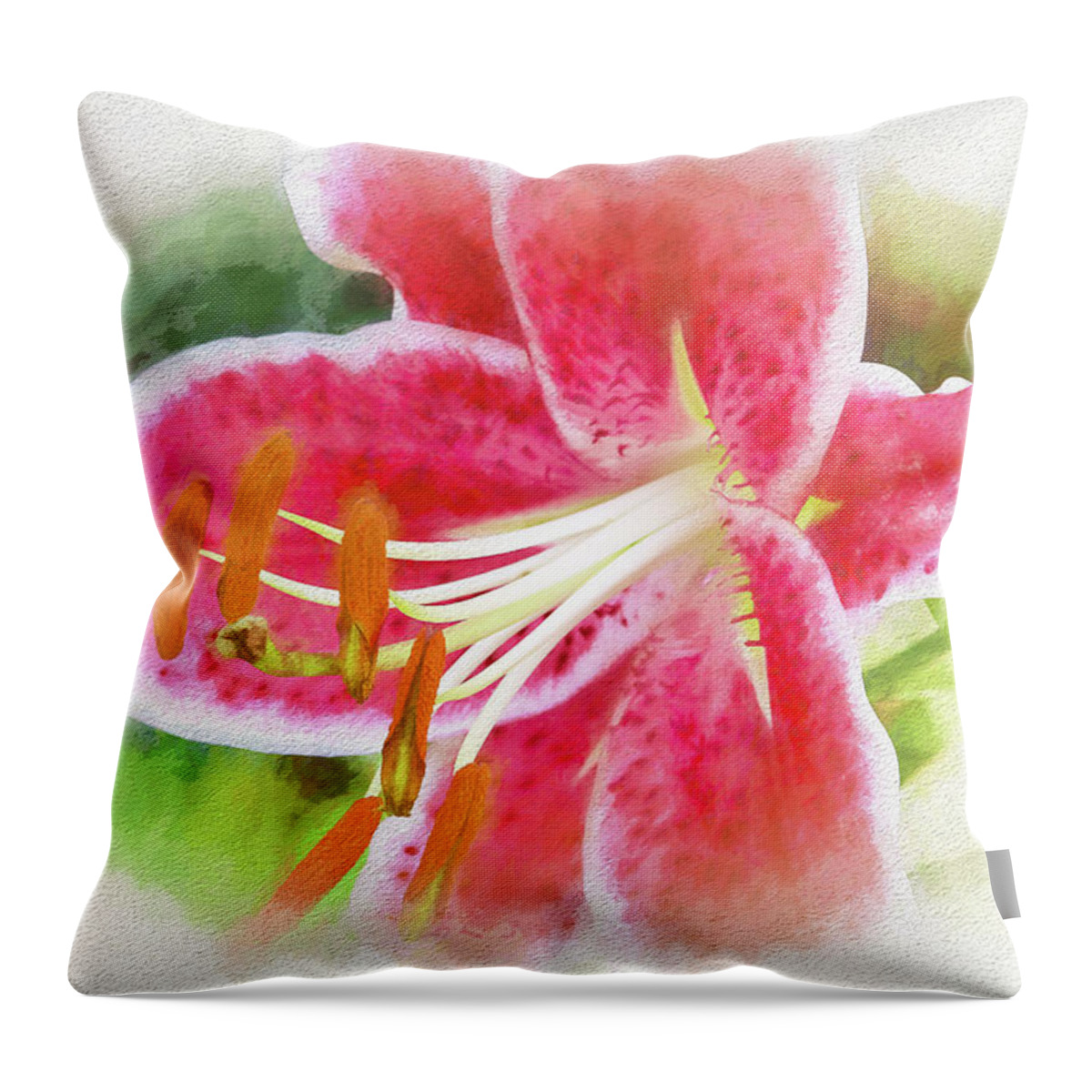 Lily Throw Pillow featuring the photograph Pink and White Flowering Stargazer Lily in a Garden by Ola Allen