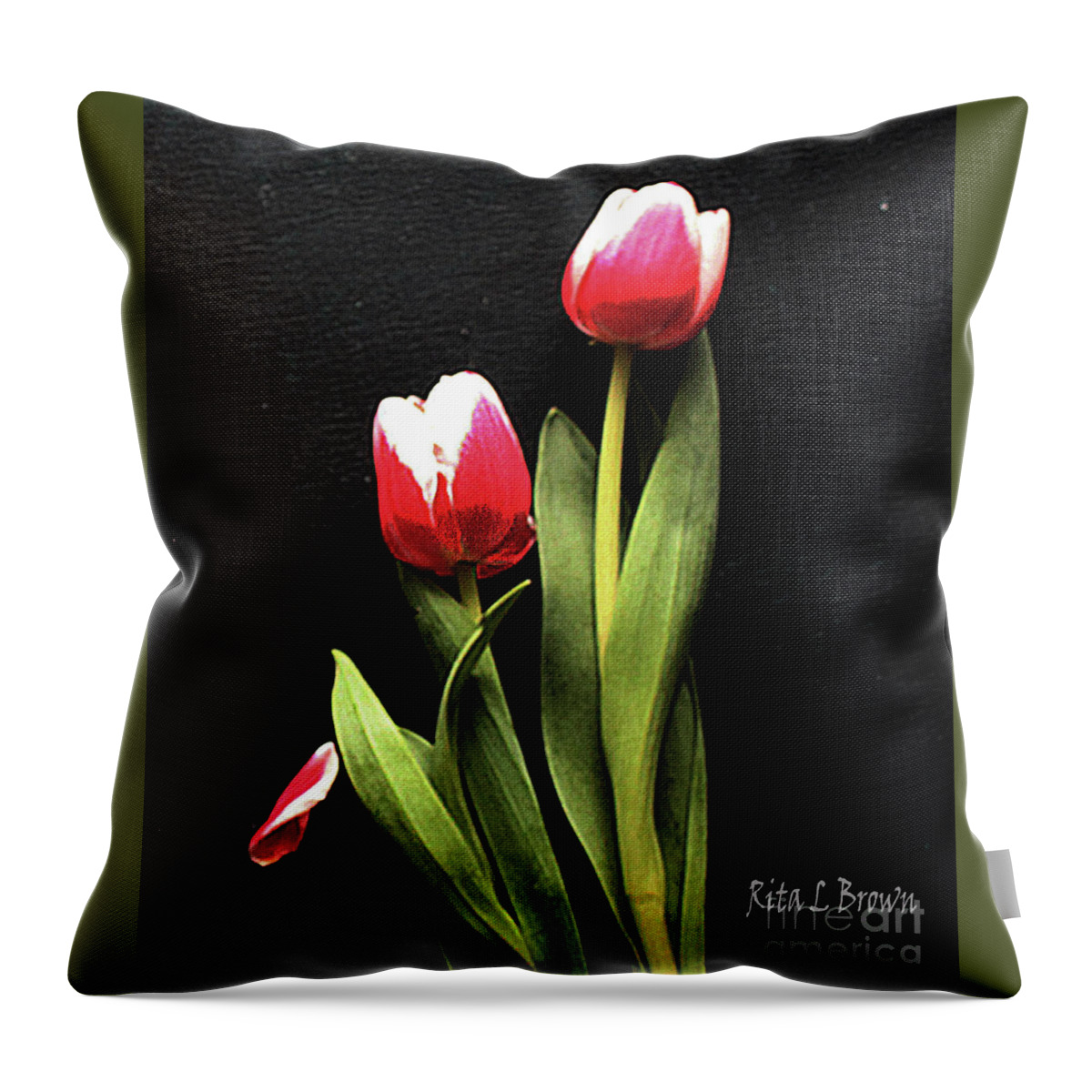 Tullips Throw Pillow featuring the photograph Pink and White Tullips by Rita Brown