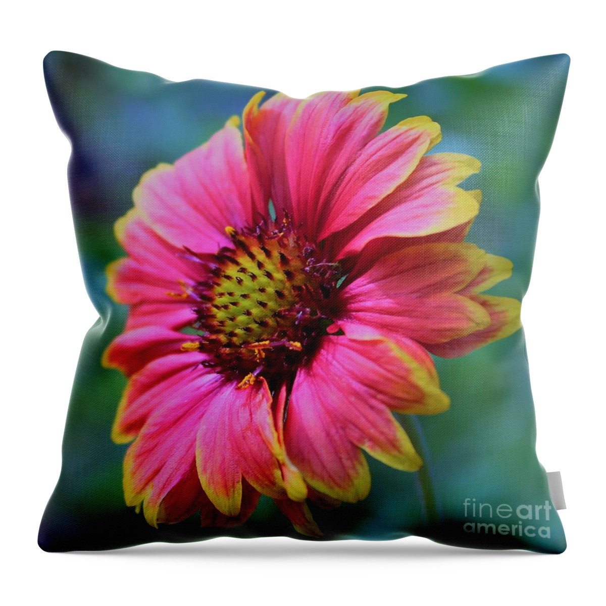 Flower Throw Pillow featuring the photograph Pink and yellow petals surrounded in blues and greens by Joanne Carey