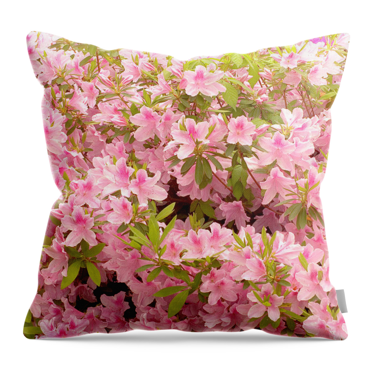 Pink Throw Pillow featuring the photograph Pink Azaleas of Alabama by James C Richardson