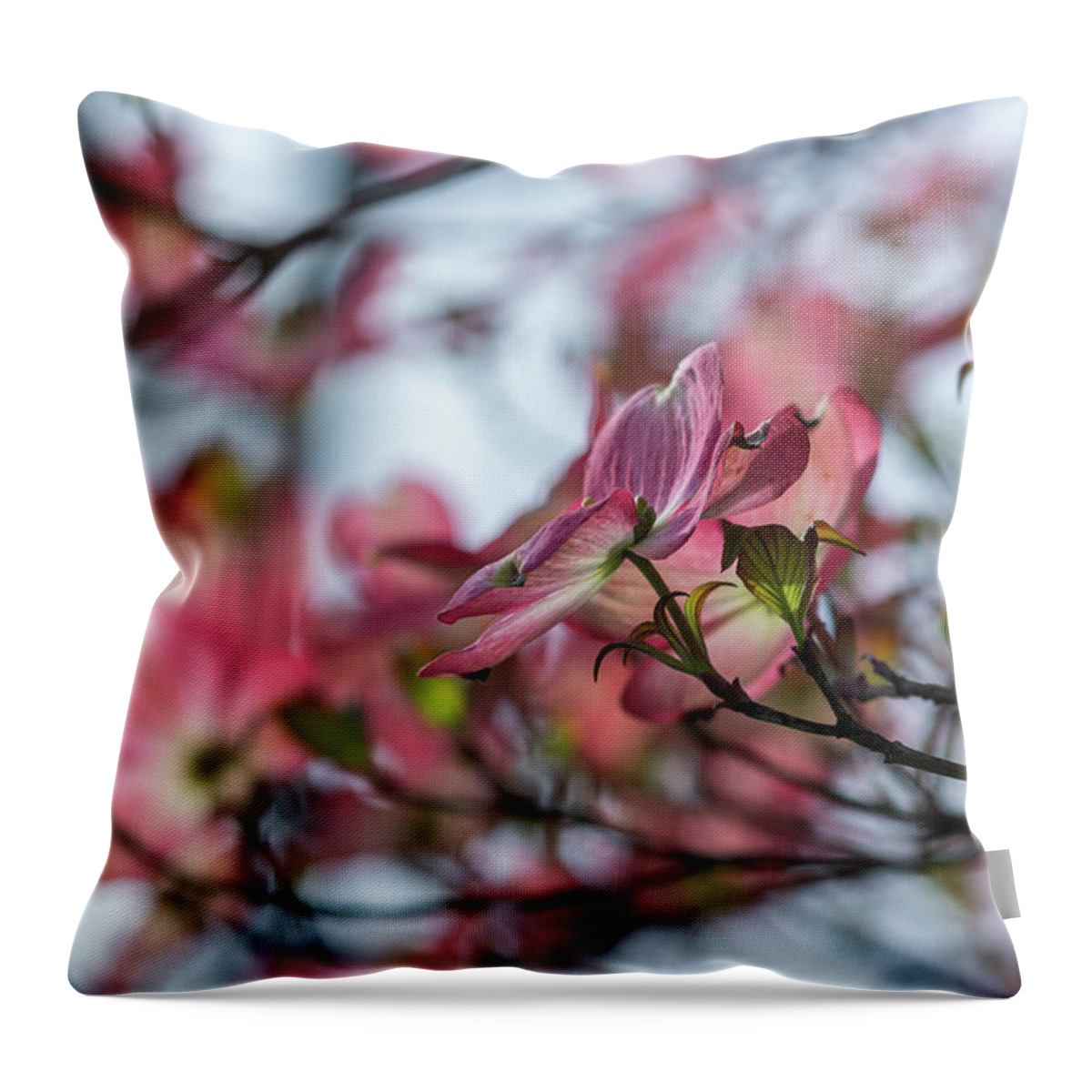 Dogwood Throw Pillow featuring the photograph Pink Beauty by Liz Albro