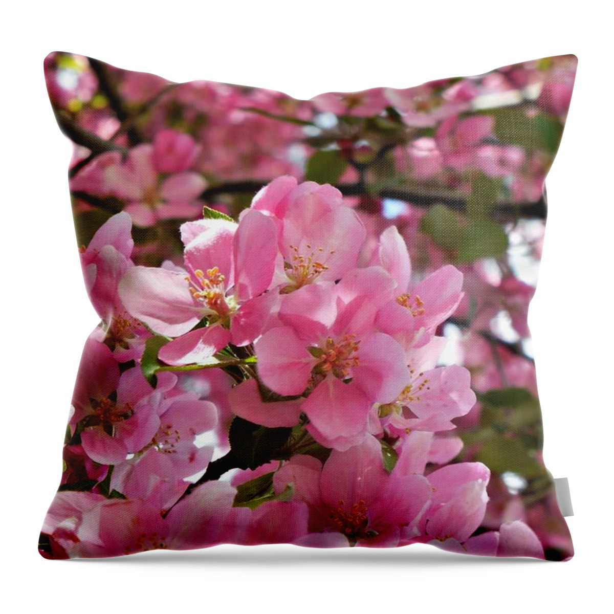 Cherry Blossoms Throw Pillow featuring the photograph Pink Blossoms by Amanda R Wright