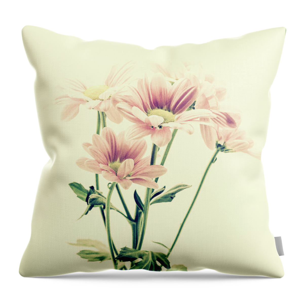 Flower Throw Pillow featuring the photograph Pink Chrysanthemums Vintage by Tanya C Smith