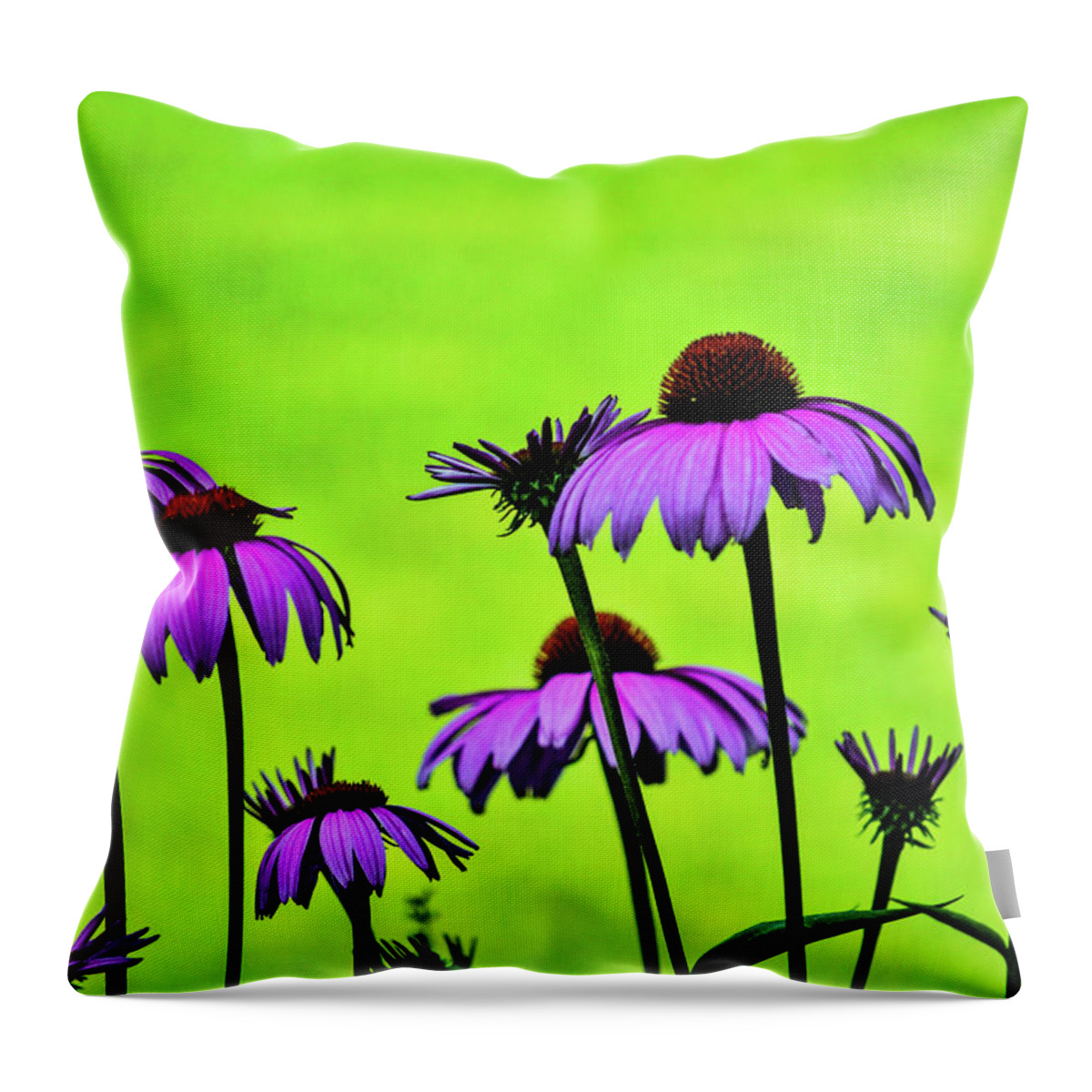 Daiseys Throw Pillow featuring the photograph Pink Daiseys by Addison Likins