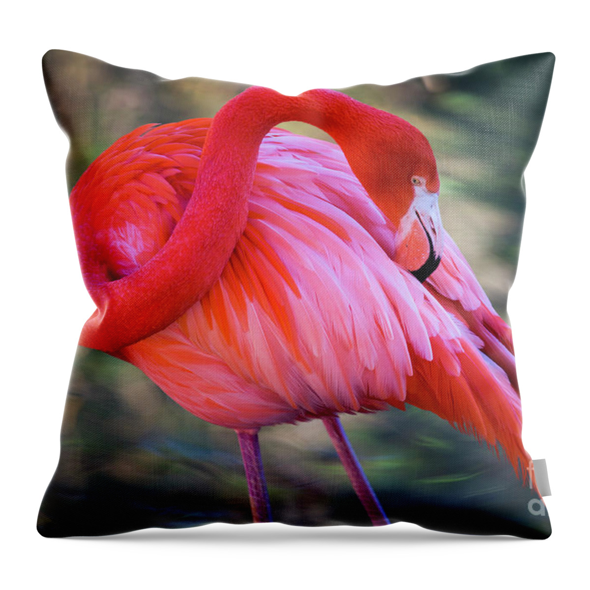 Flamingo Throw Pillow featuring the photograph Pink Flamingo by Erin Marie Davis