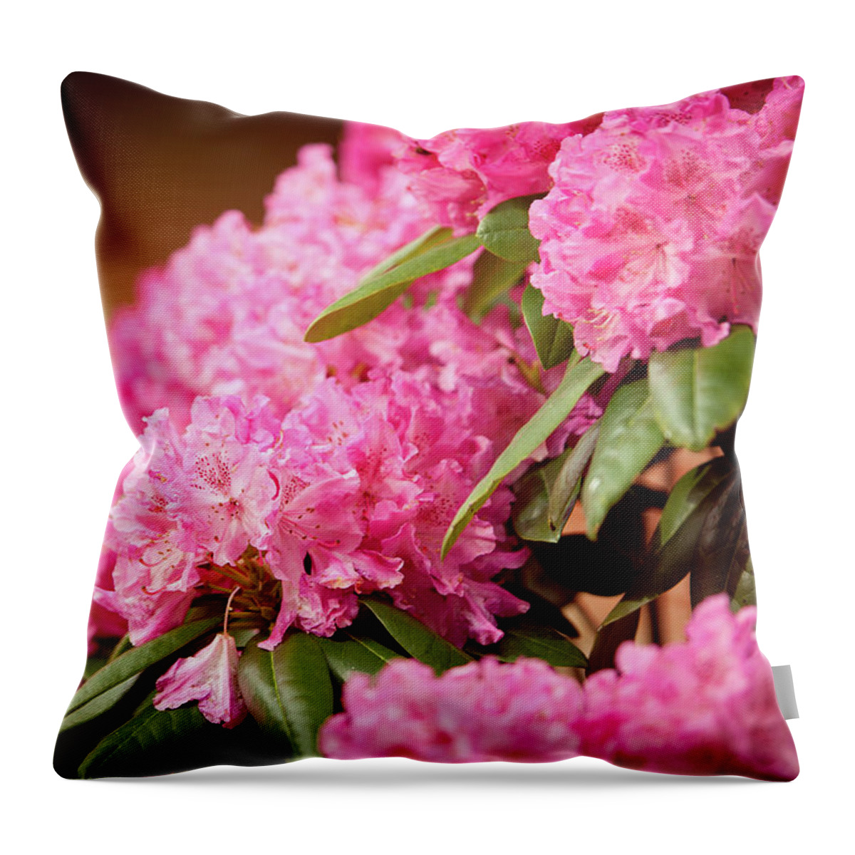Flowers Throw Pillow featuring the photograph Pink Flower Clusters by Rich S