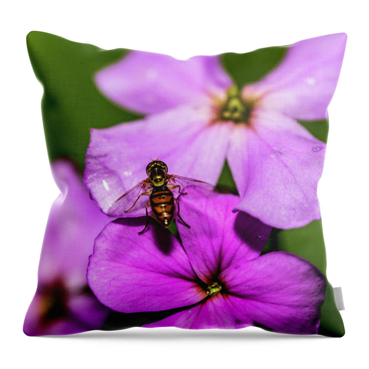 Wildlife Throw Pillow featuring the photograph Pink Flowers by Amelia Pearn