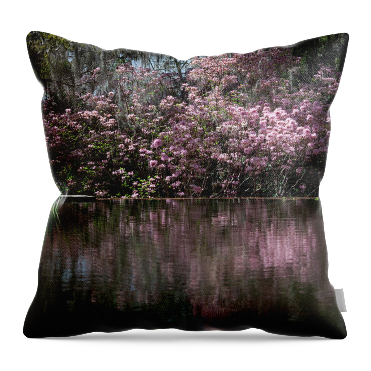 Photograph Throw Pillow featuring the photograph Pink Magic I by Suzanne Gaff