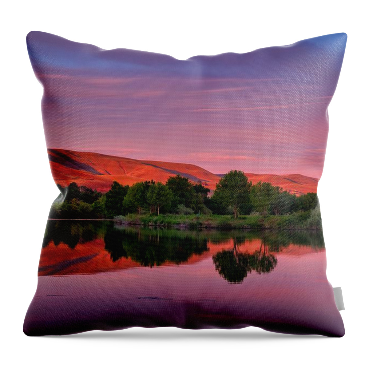 Pink Morning Light Throw Pillow featuring the photograph Pink morning light by Lynn Hopwood