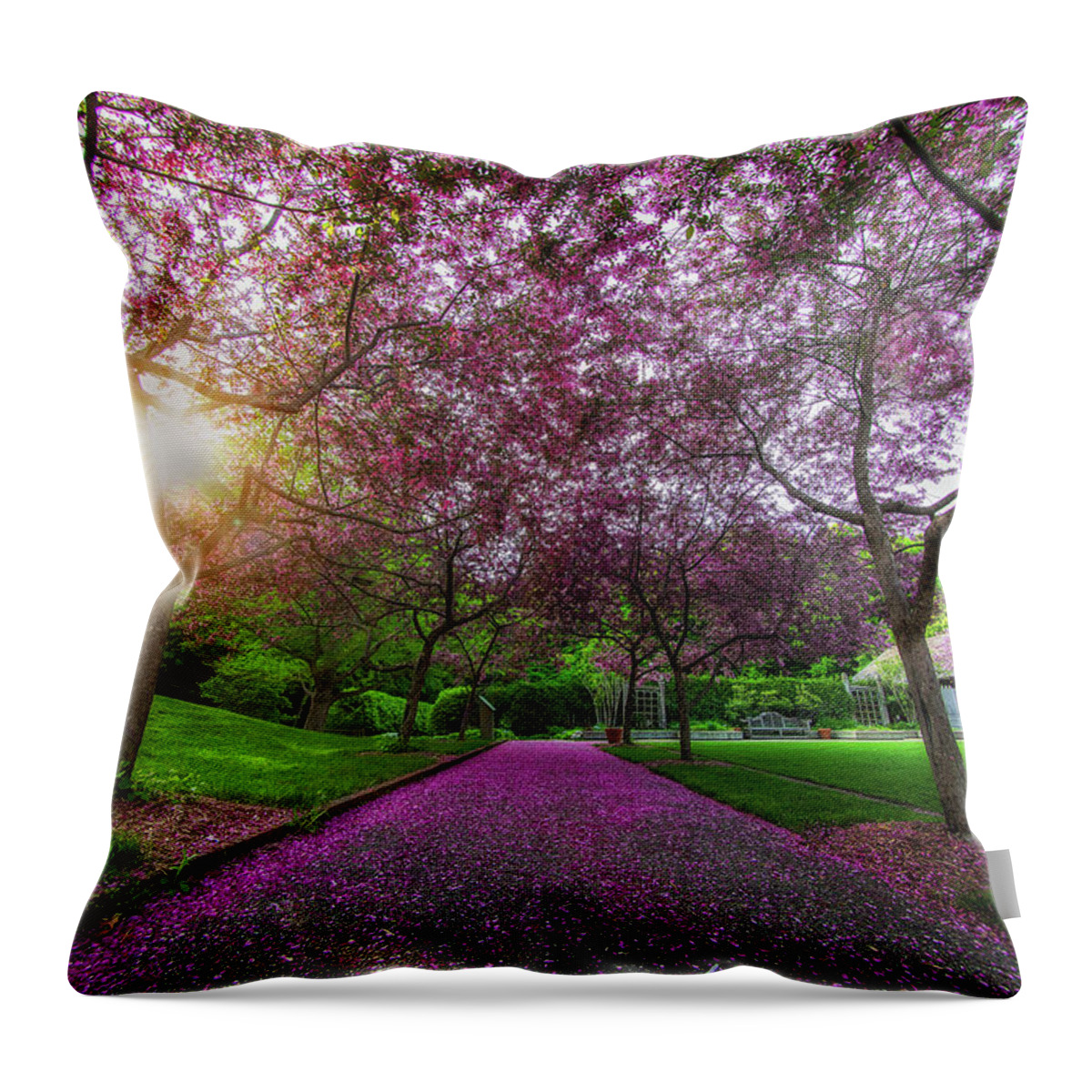  Throw Pillow featuring the photograph Pink Petal Trail by Nicole Engstrom