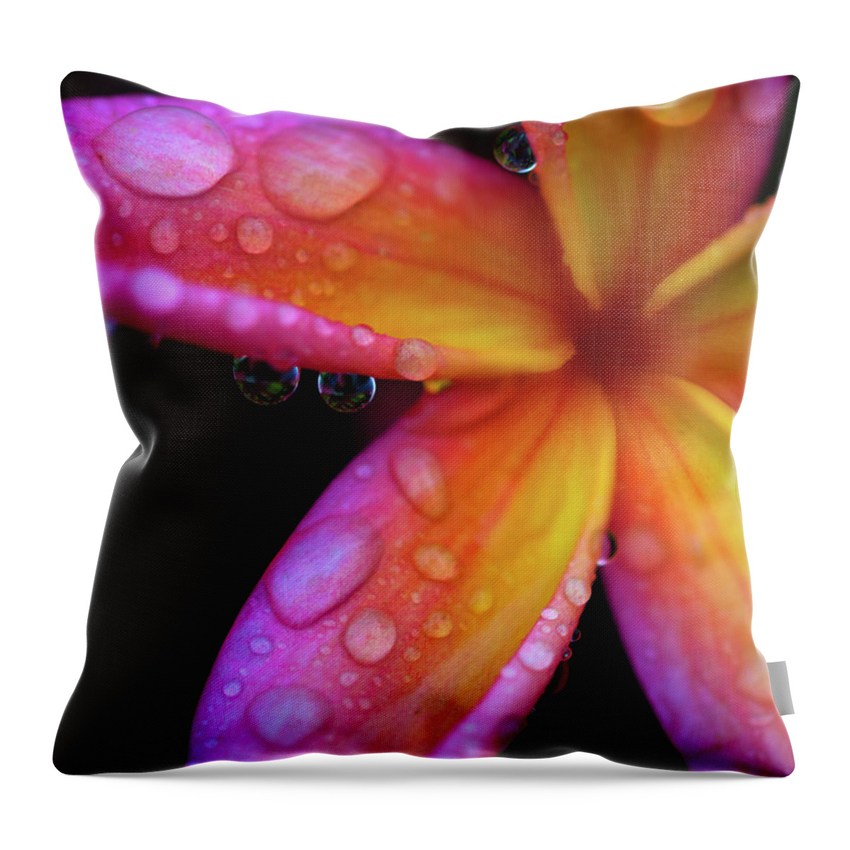 Plumeria Throw Pillow featuring the photograph Pink Plumeria by Christopher Johnson