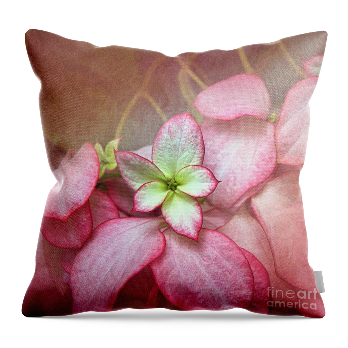 Christmas Tradition Throw Pillow featuring the digital art Pink Poinsettia Textures by Amy Dundon