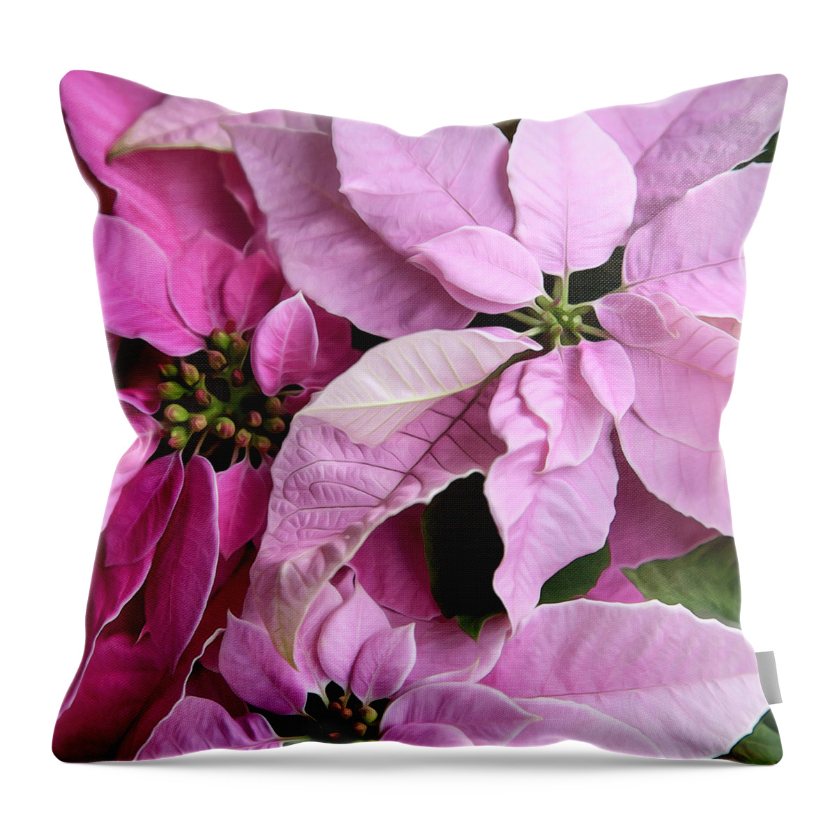Face Mask Throw Pillow featuring the photograph Pink Poinsettias Square Format by Theresa Tahara