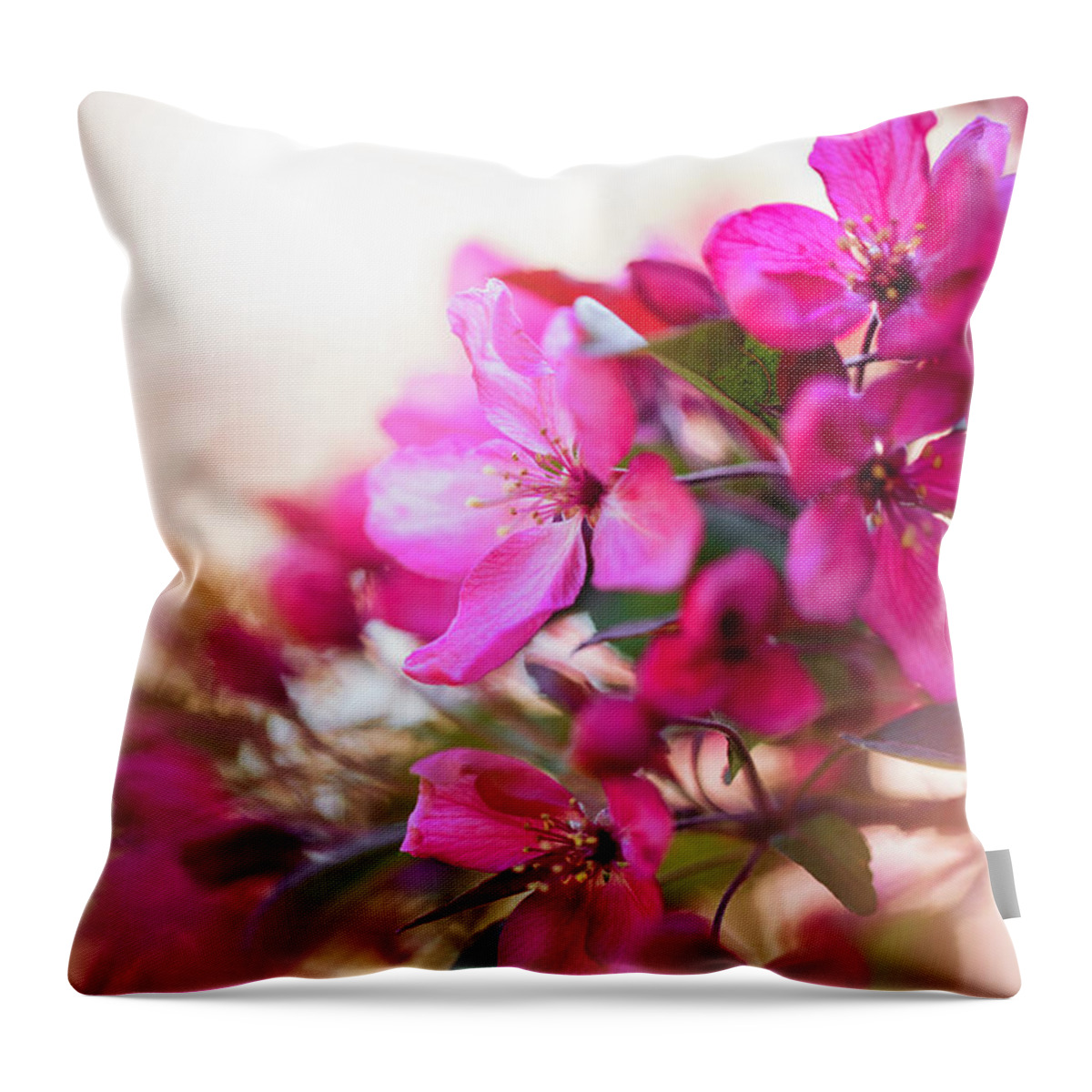 Throw Pillow featuring the photograph Pink Prettyness by Nicole Engstrom