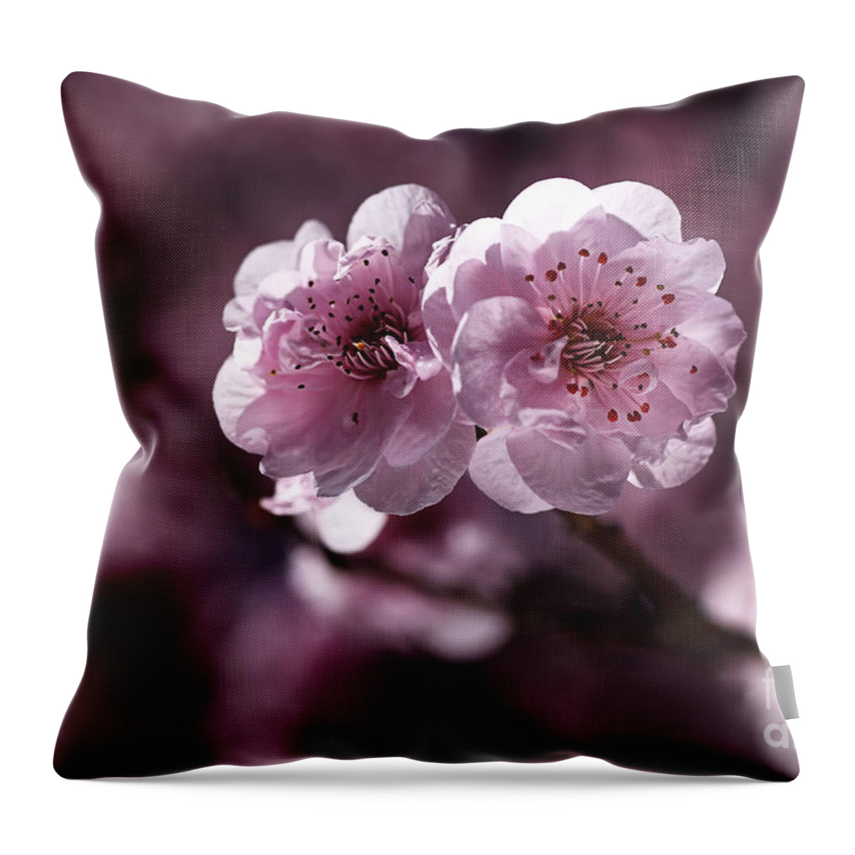 Prunus Blieriana Throw Pillow featuring the photograph Pink Prunus Blossom by Joy Watson