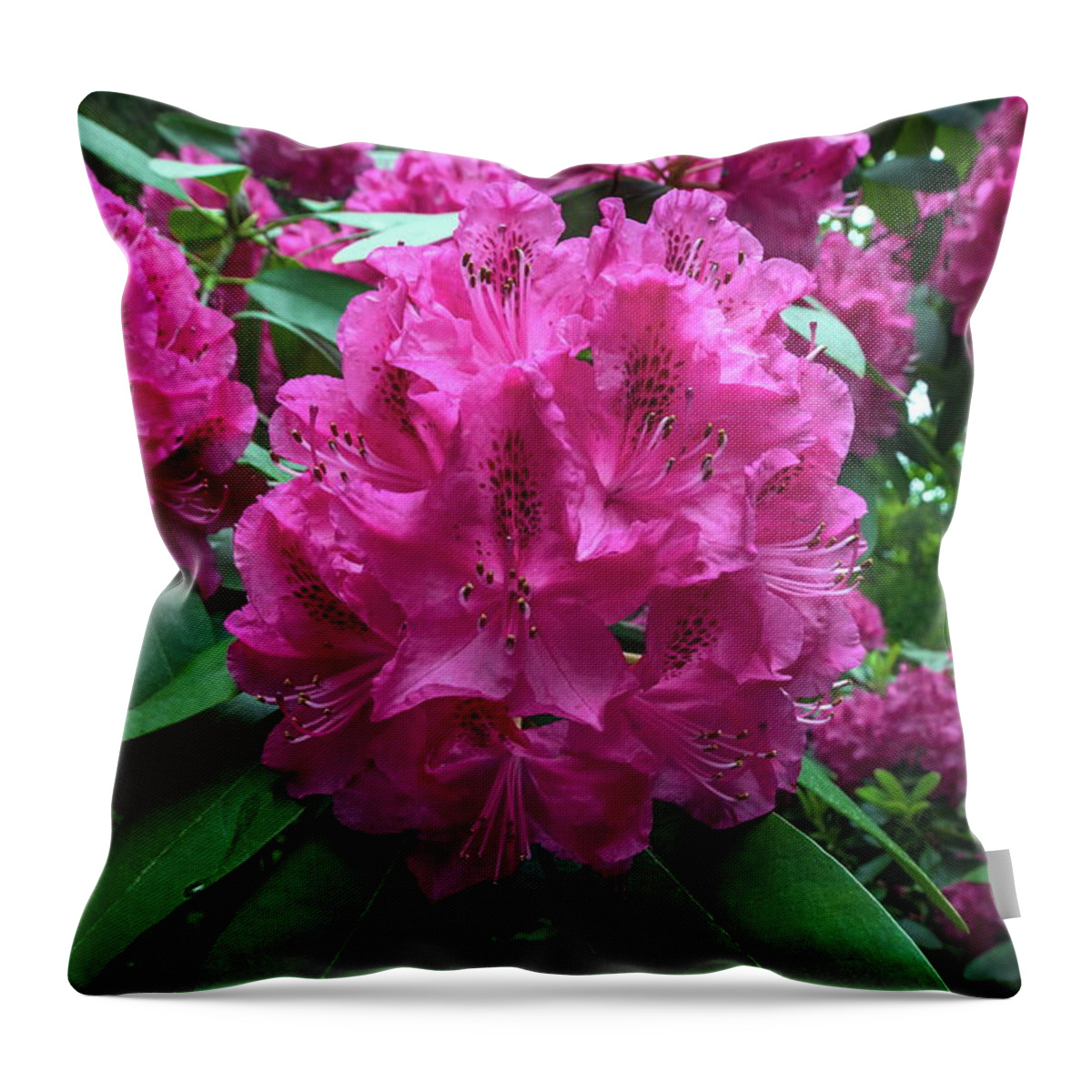 Alex Lyubar Throw Pillow featuring the photograph Pink Rhododendron Dopey by Alex Lyubar