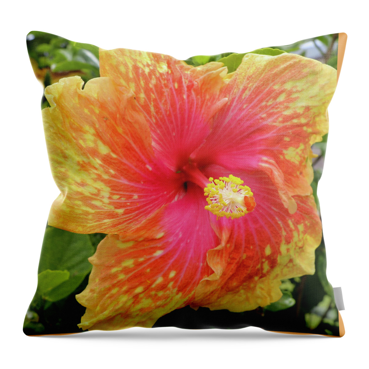 Hibiscus Throw Pillow featuring the photograph Pink Splatter by Tony Spencer