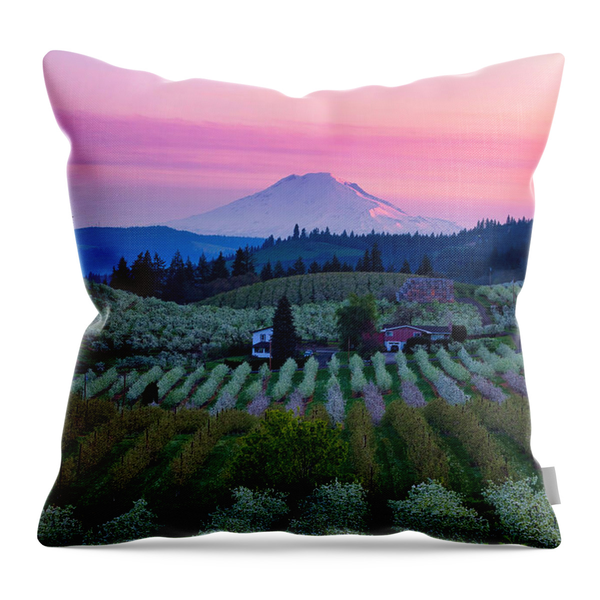 Pink Sunrise And Pear Blossoms Throw Pillow featuring the photograph Pink Sunrise and Pear Blossoms by Lynn Hopwood