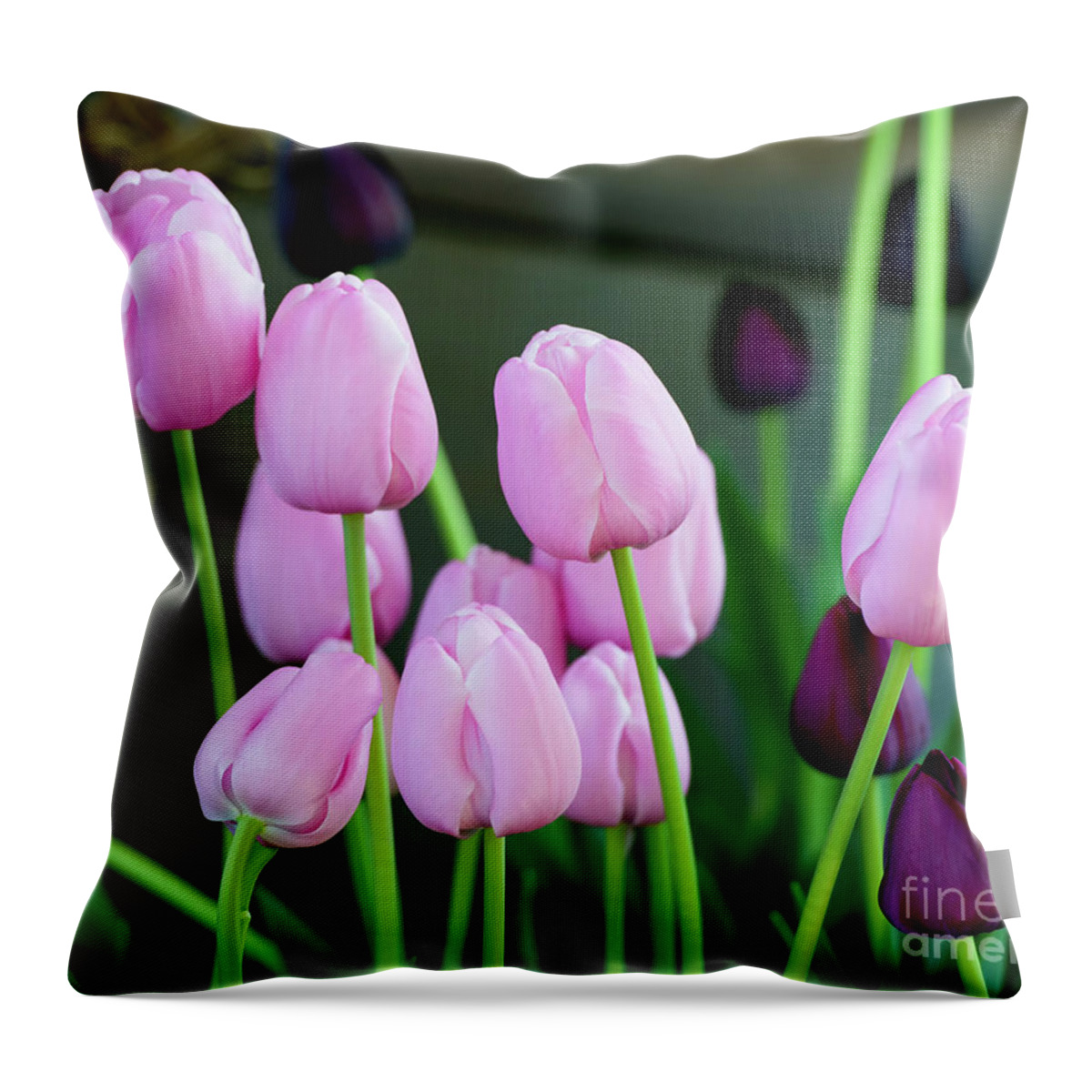 Pink Tulips Throw Pillow featuring the photograph Pink Tulips, 1 by Glenn Franco Simmons