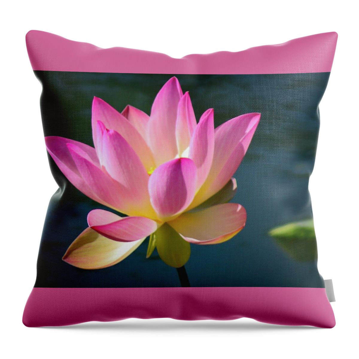 Flowers Throw Pillow featuring the photograph Pink Waterlily by Gerri Bigler