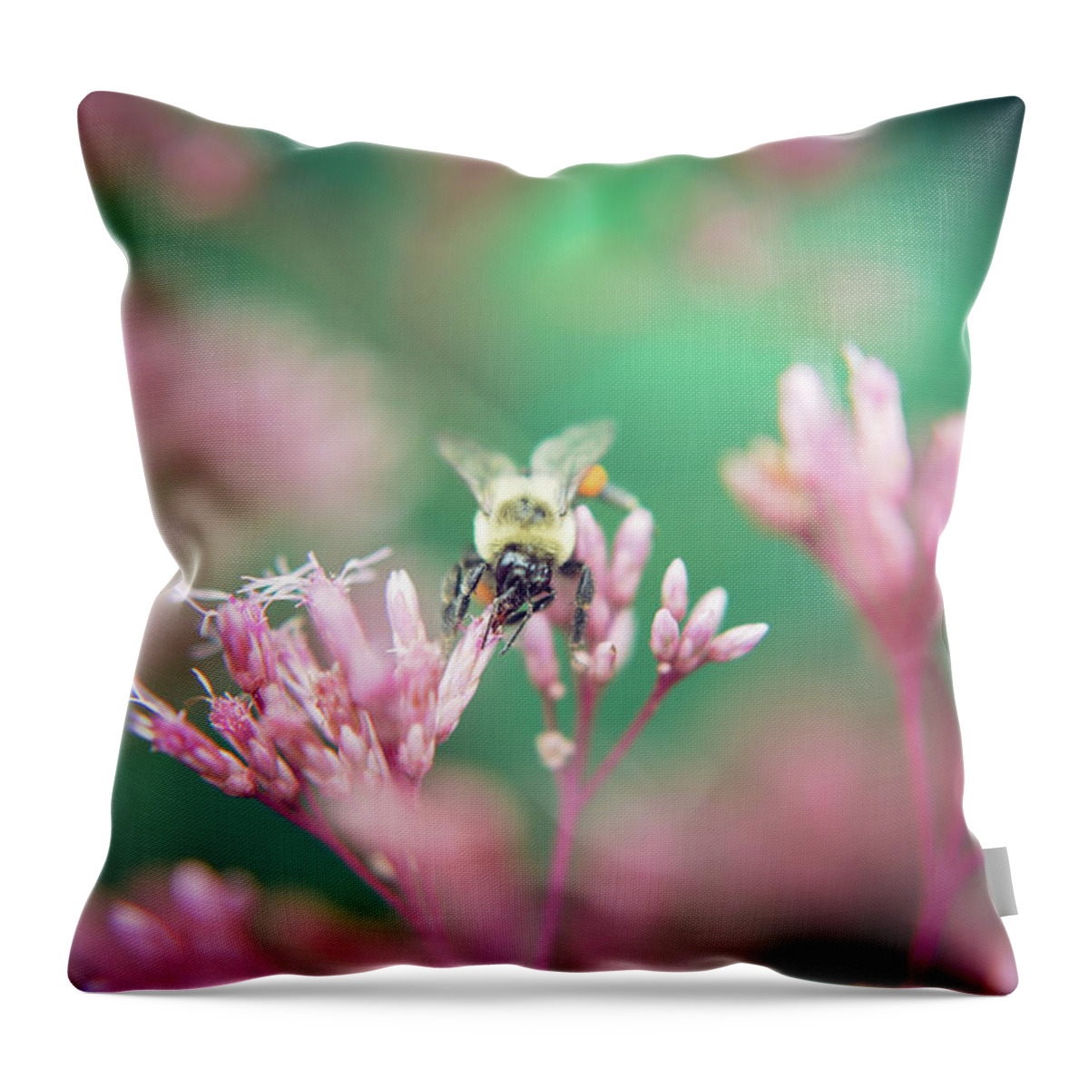 Pink Throw Pillow featuring the photograph Pinky and the Bee by Stacy Abbott