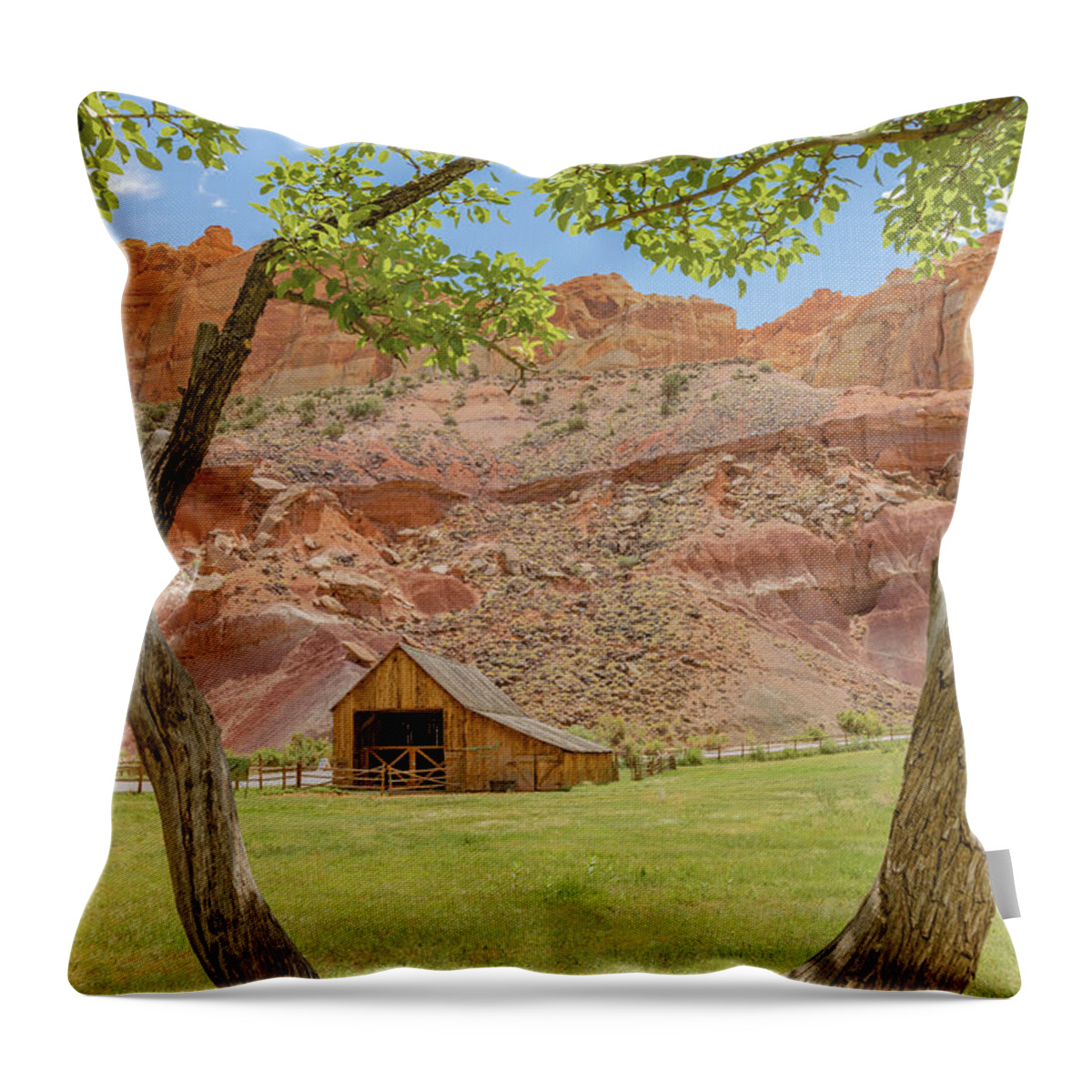 Ige08680 Throw Pillow featuring the photograph Pioneer Barnyard by Gordon Elwell